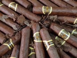 Tabacos de Holguín 08